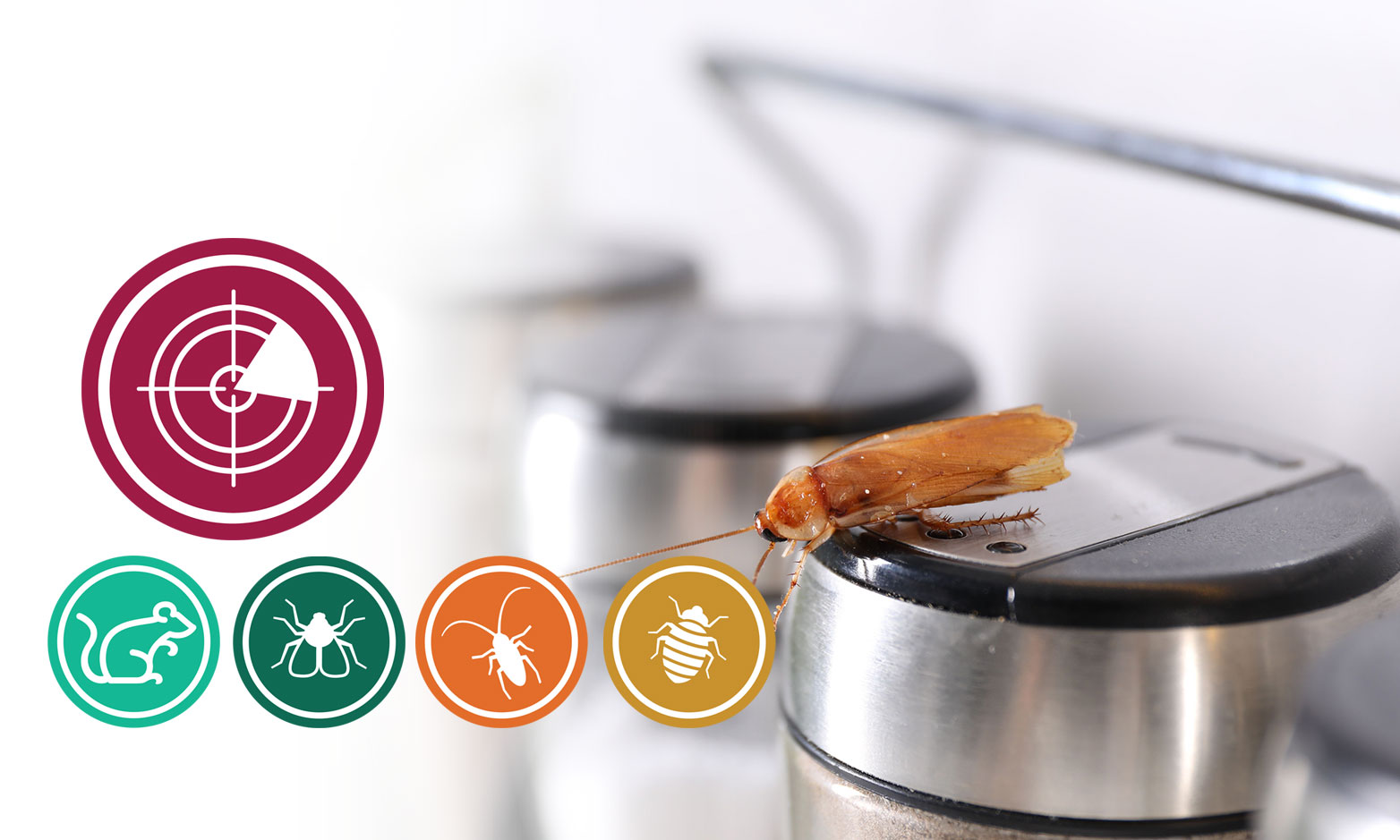 Cockroach on a counter beside icons for rodent, insect and pest monitoring