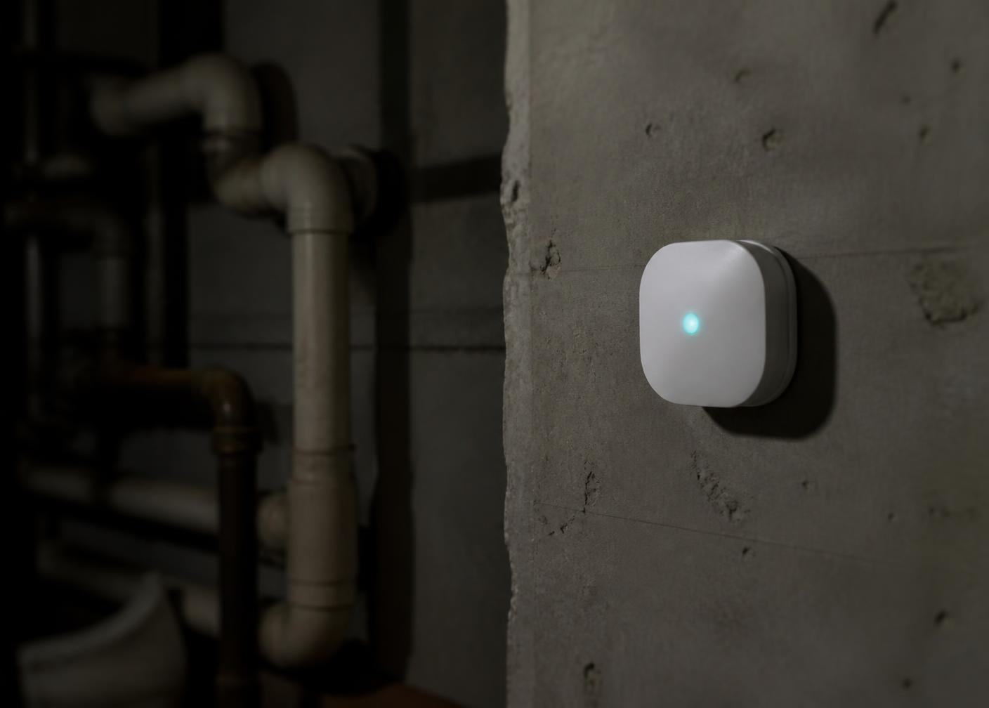 Discreet IoT insect monitor mounted on a concrete wall in a building basement